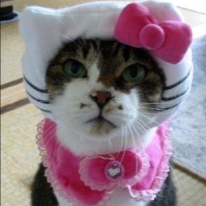 Meet your Posher, Kenne